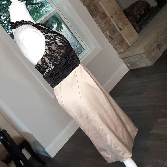 Max & Cleo New Open Back Zip Side Lined Lace Bodice Dress - Picture 7 of 15